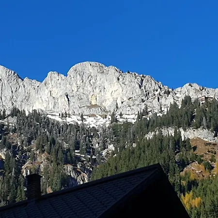 Alpenrose In Apartment Nesselwangle